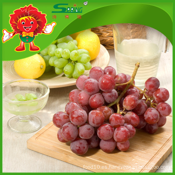 Semillas de uvas rojas mejores uvas rojas